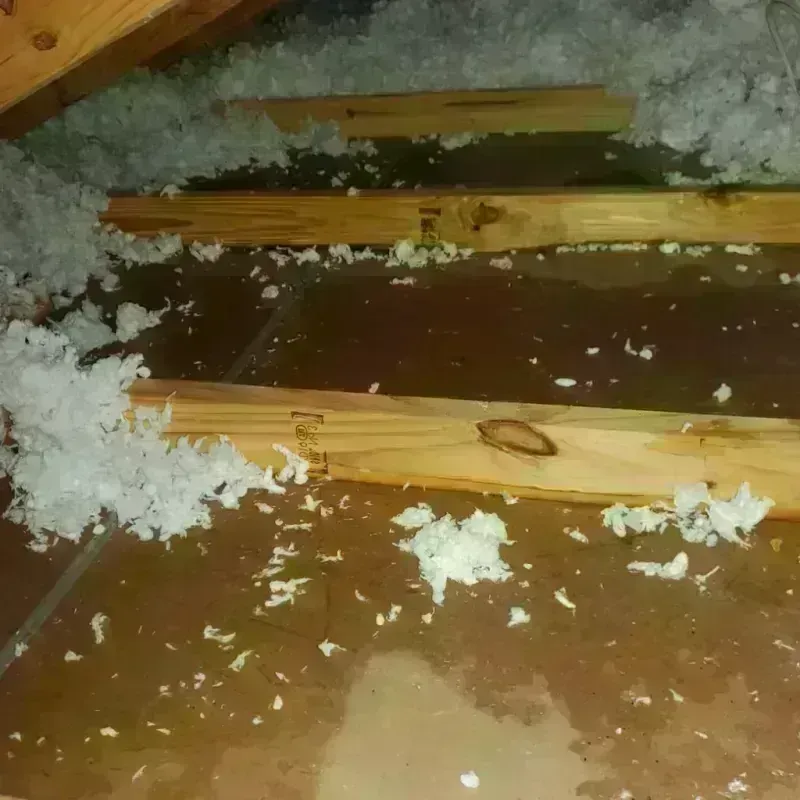 Attic Water Damage in Sterling, CO