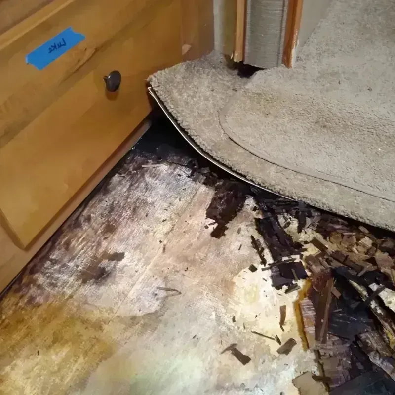 Wood Floor Water Damage in Sterling, CO